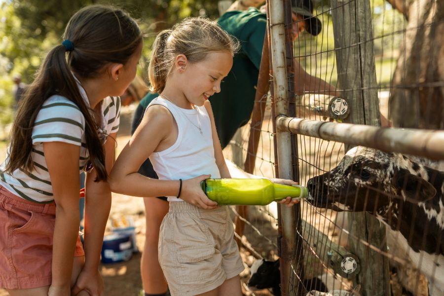 africamps at milorho magaliesberg glamping south africa